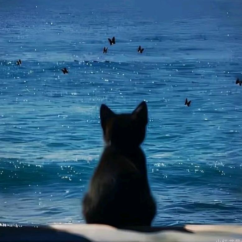上海莱雅美食精选铺