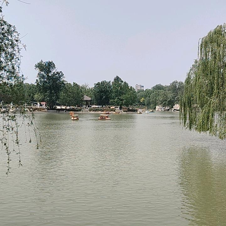 陌上花开等雨来
