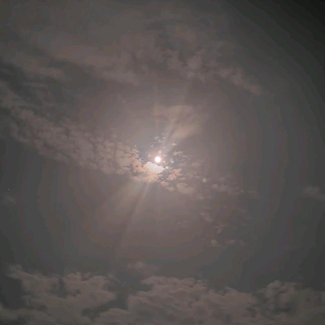 享受今天，乐观未来
