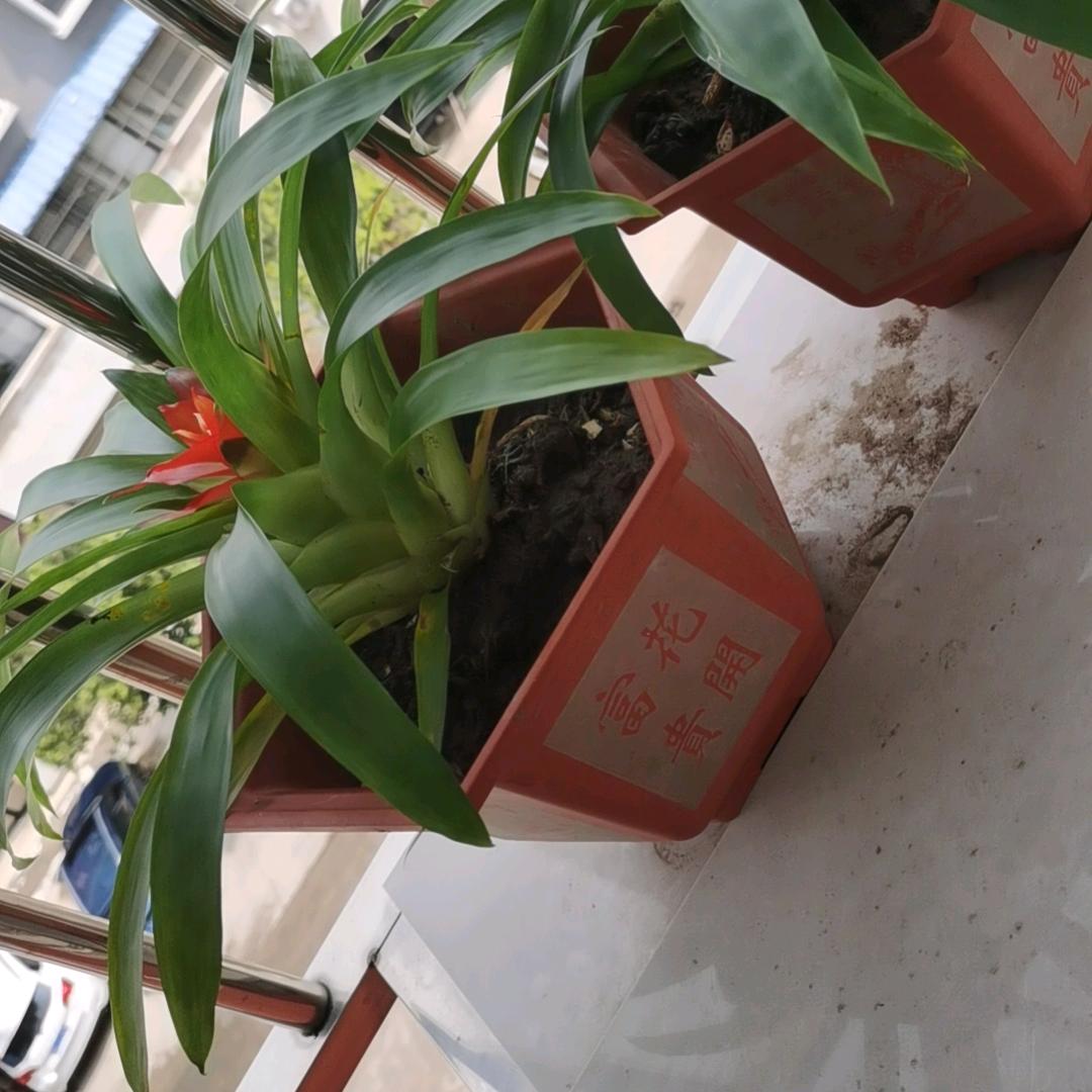 改变