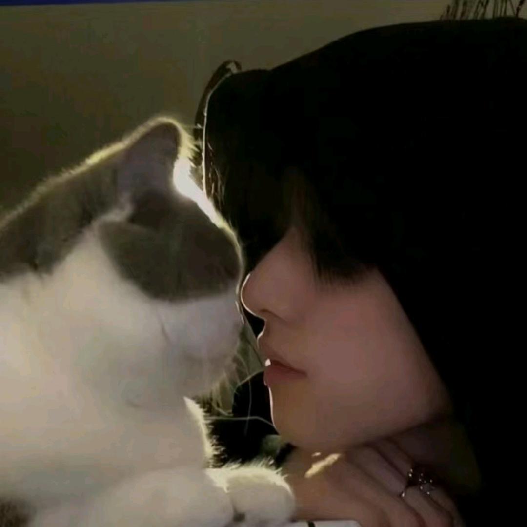 @。。。