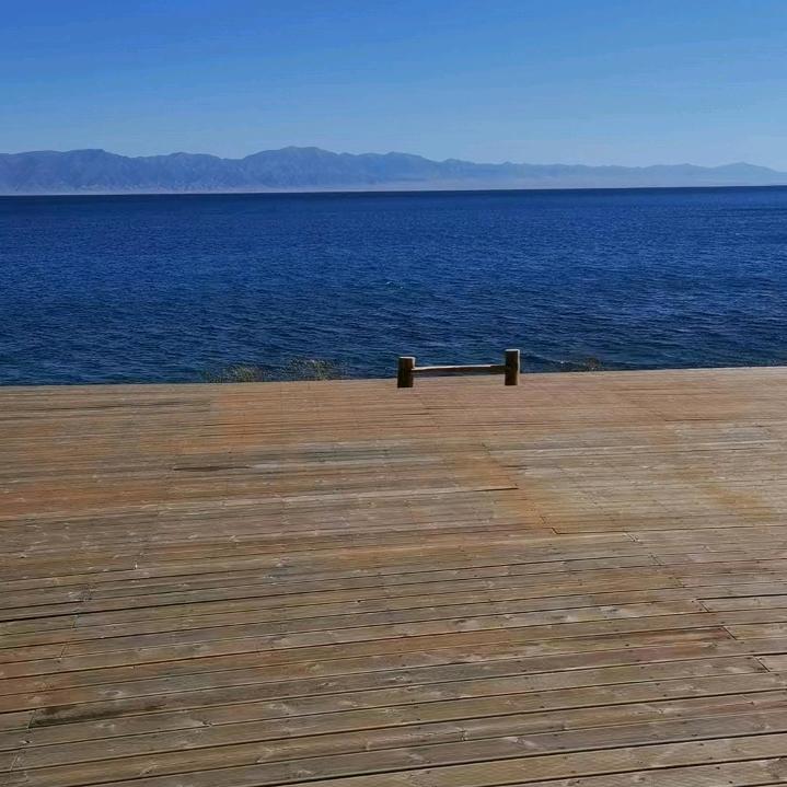 飛        釖