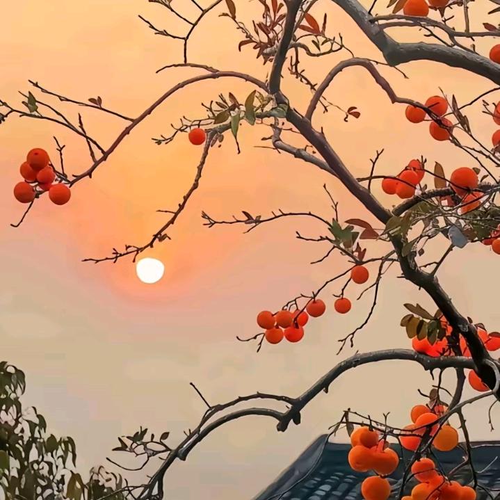 明月