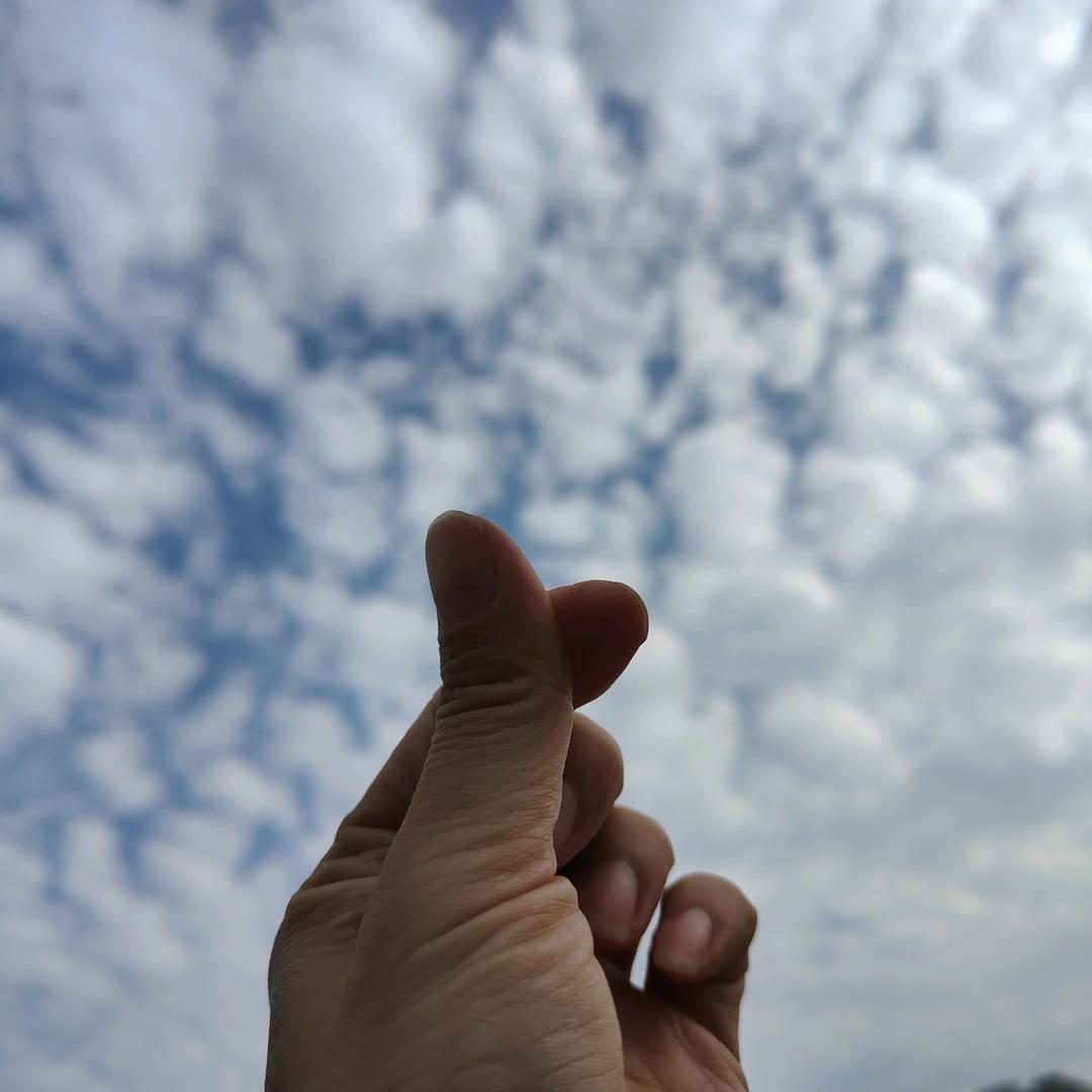 仅此(⑉°з°)-♡一心