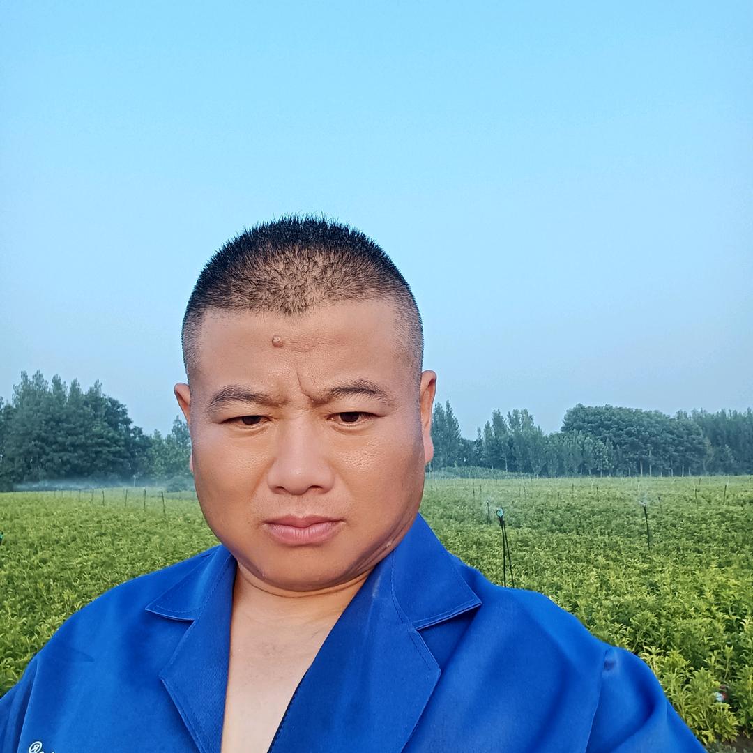 改良白术🤝李广