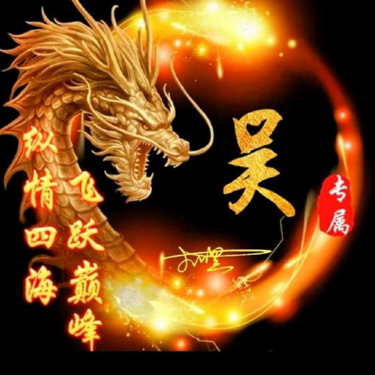 吴老二桩机队