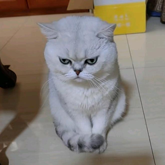 李包容先生