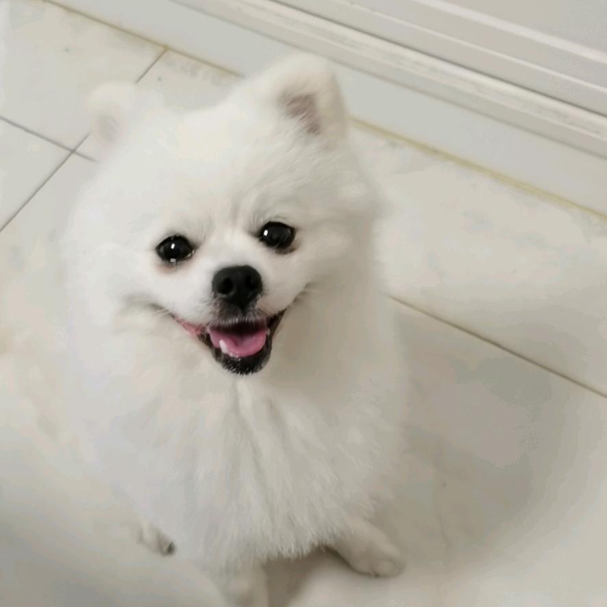 笑忘
