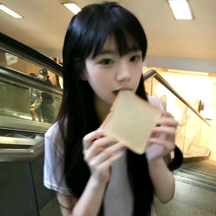 困困狗