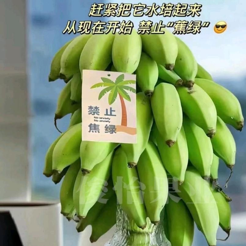 大婶的农产品
