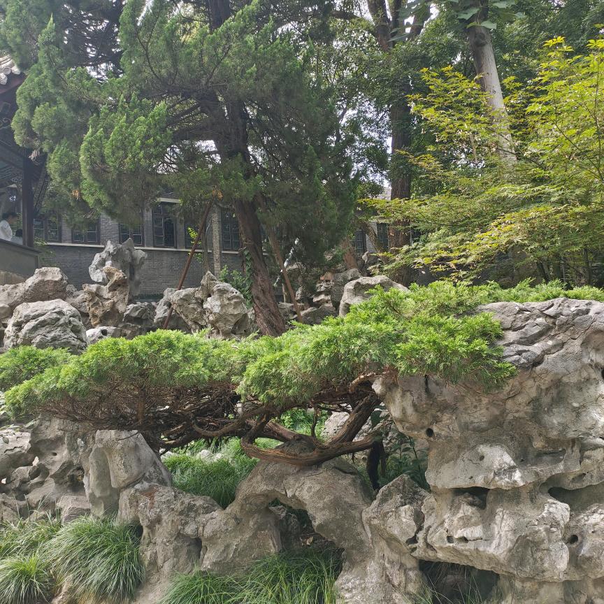 梅💅✍🏼子《拒绝连赞》