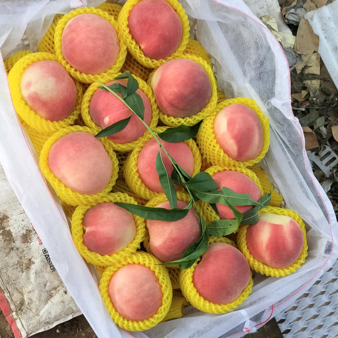 一毛代办，刘