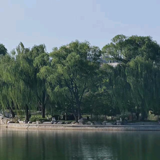 红