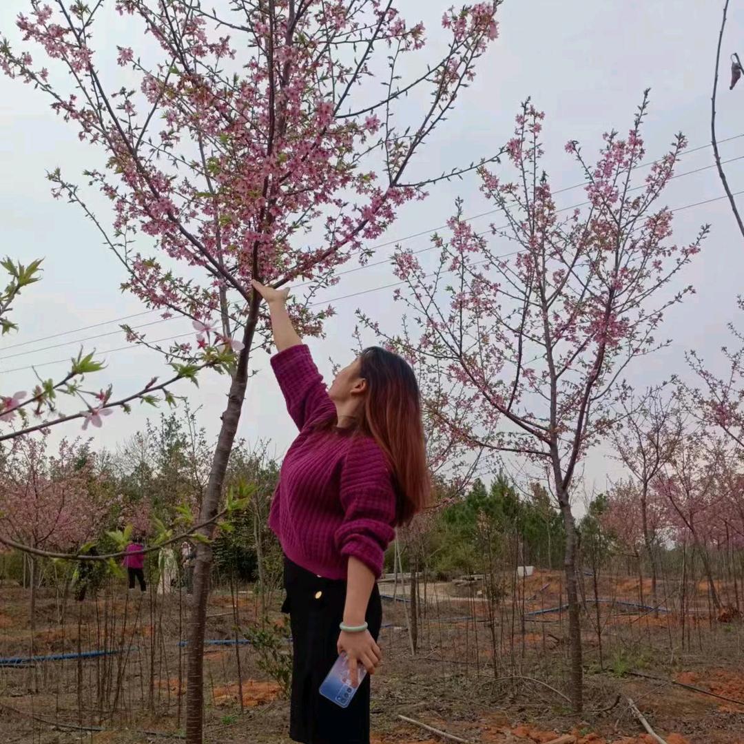 金溪县喜乐蛋糕店