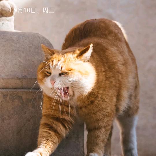 🙇谢谢老板