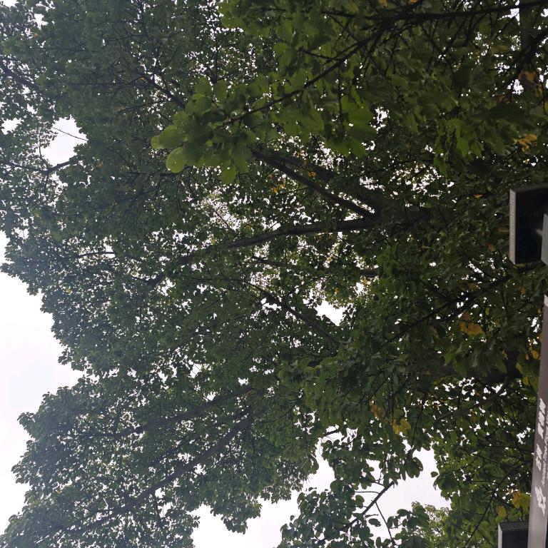一往无际