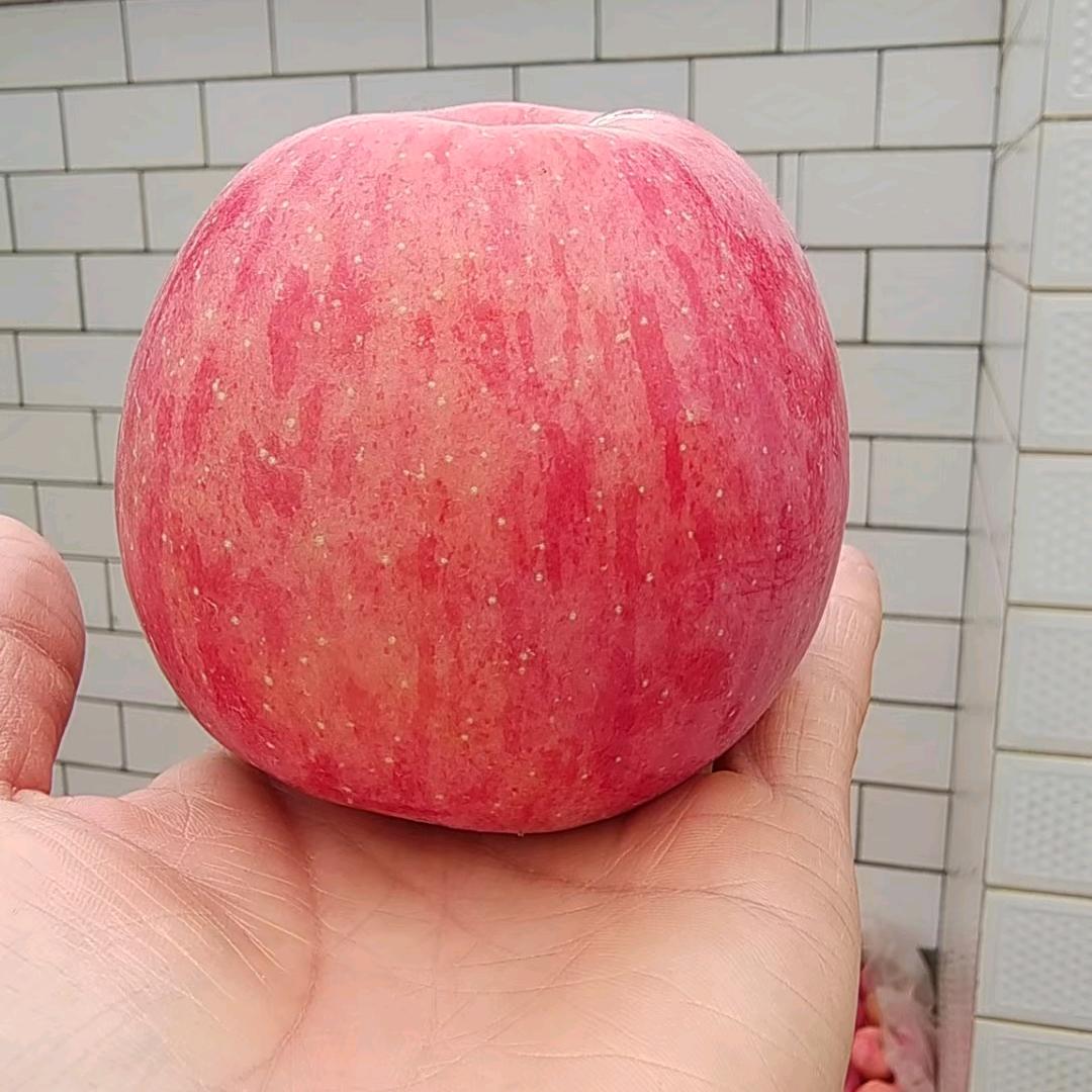 雪在雪山🍎
