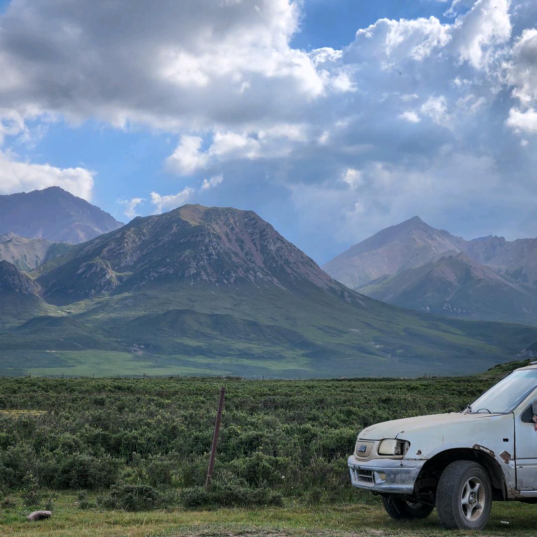 甘肃小倪活羊代发