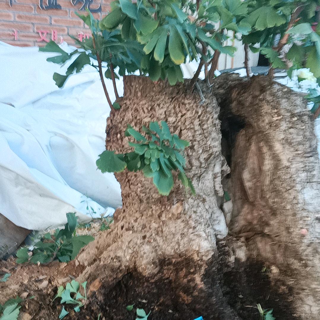百炼成钢
