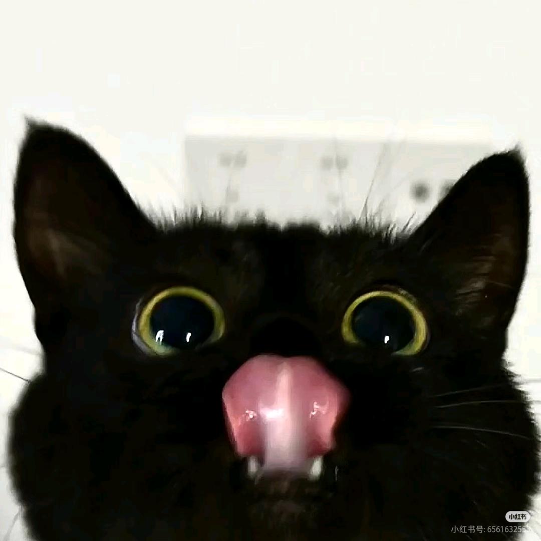 湄洲岛面团摄影（可约拍）