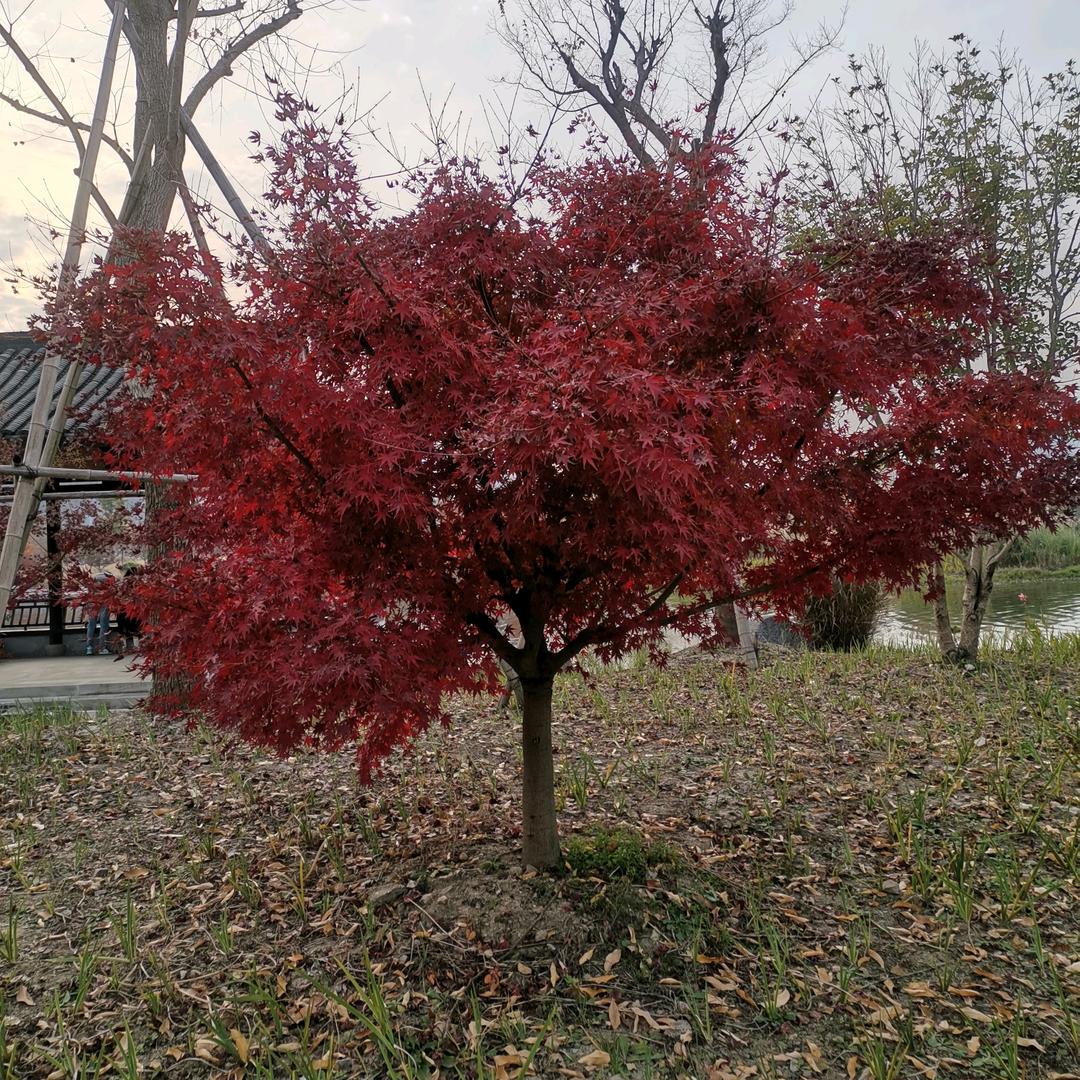 用户4068253653073绿水青山
