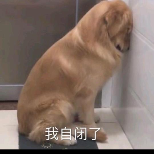 增鸡宗