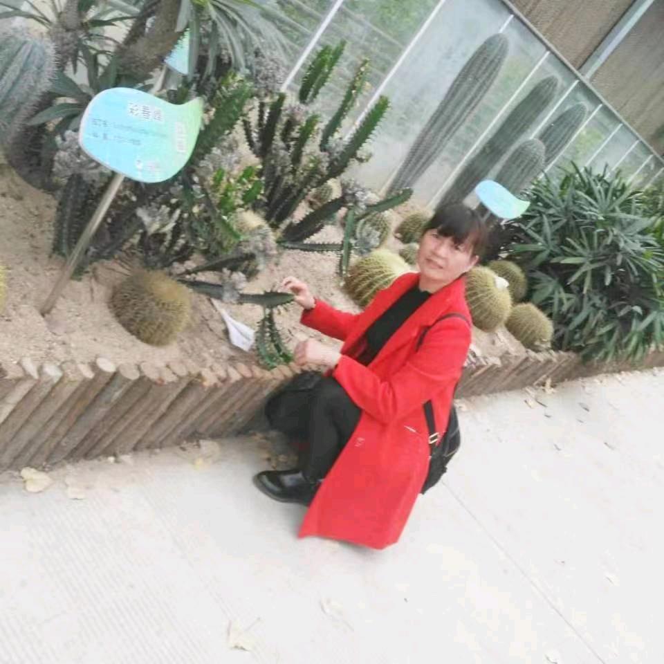 乔姐