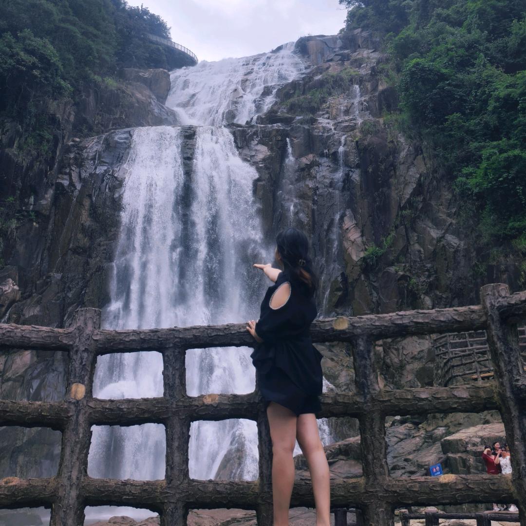 牡丹☞