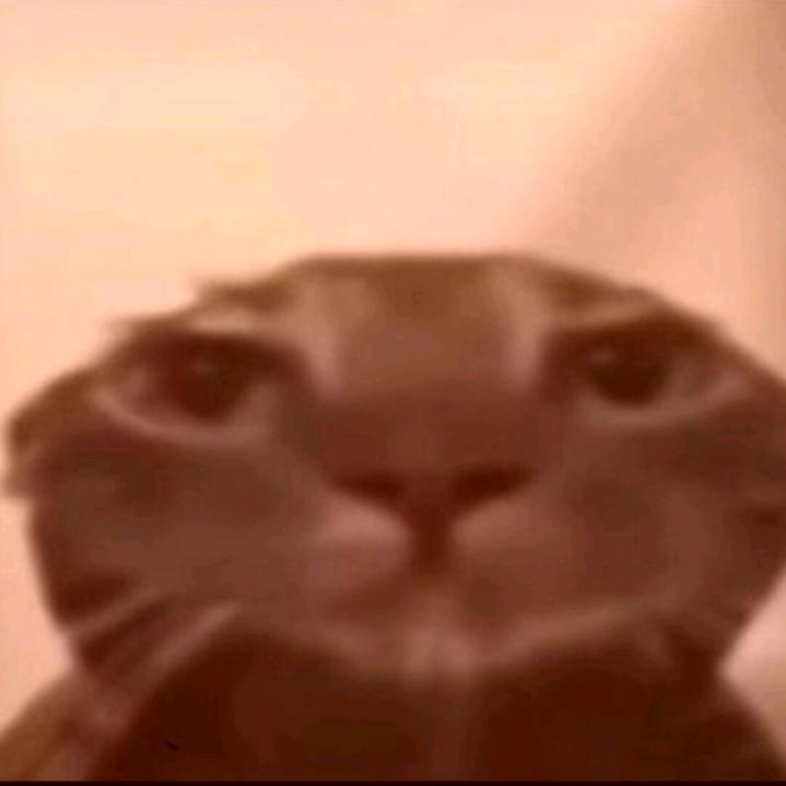 土豆味的马铃薯