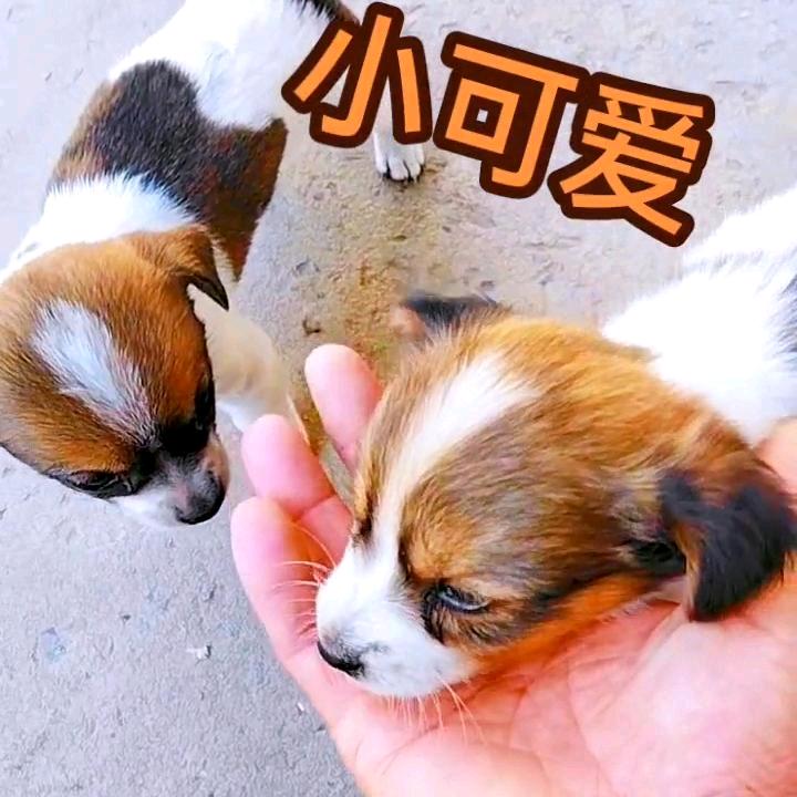 yi世豪情