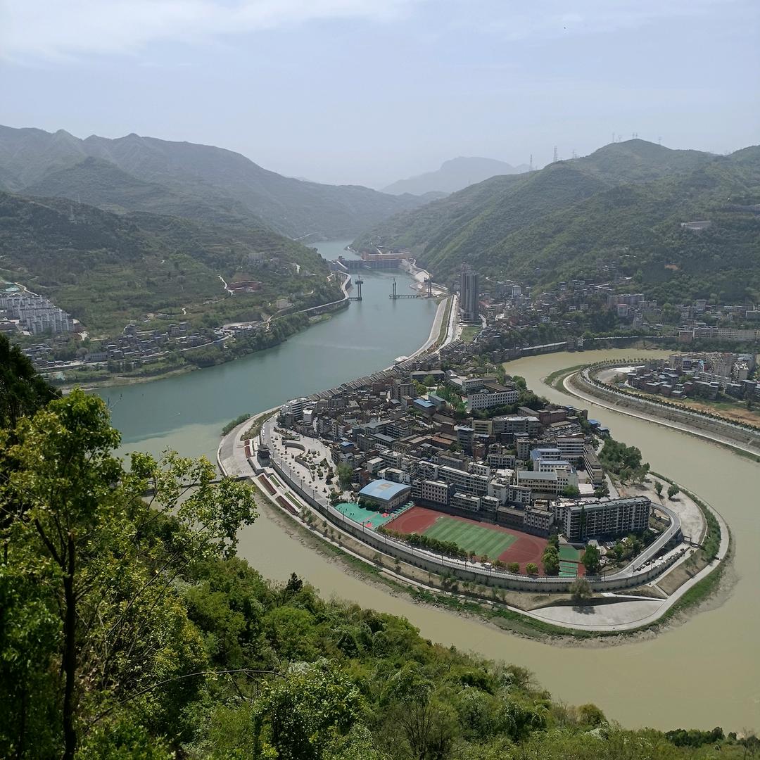 鲁颂