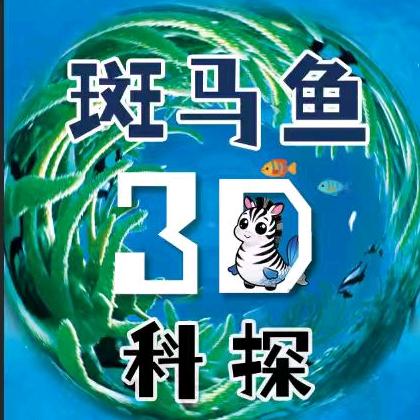 小鲸鱼潮玩小铺子