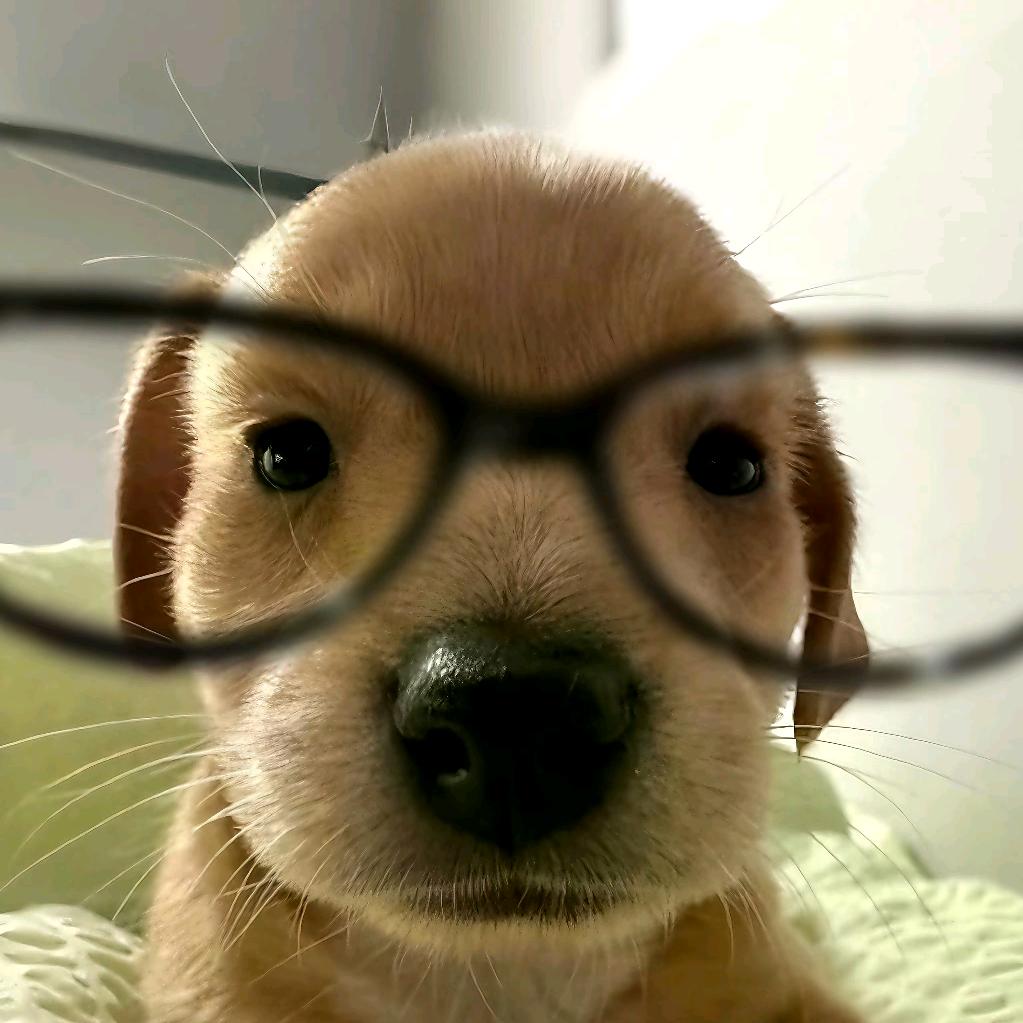 ✨好运来✨
