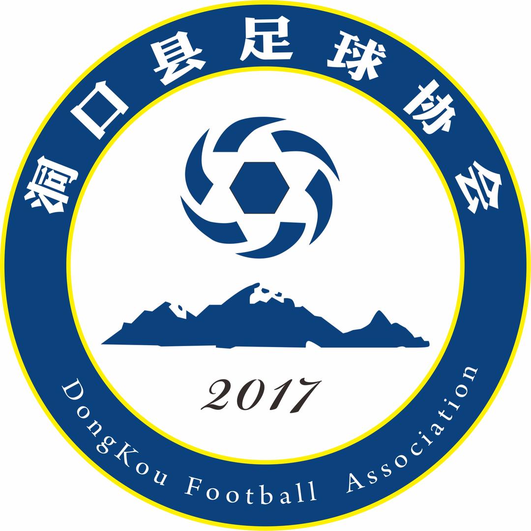 洞口县足球协会