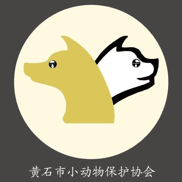 黄石小动物保护协会