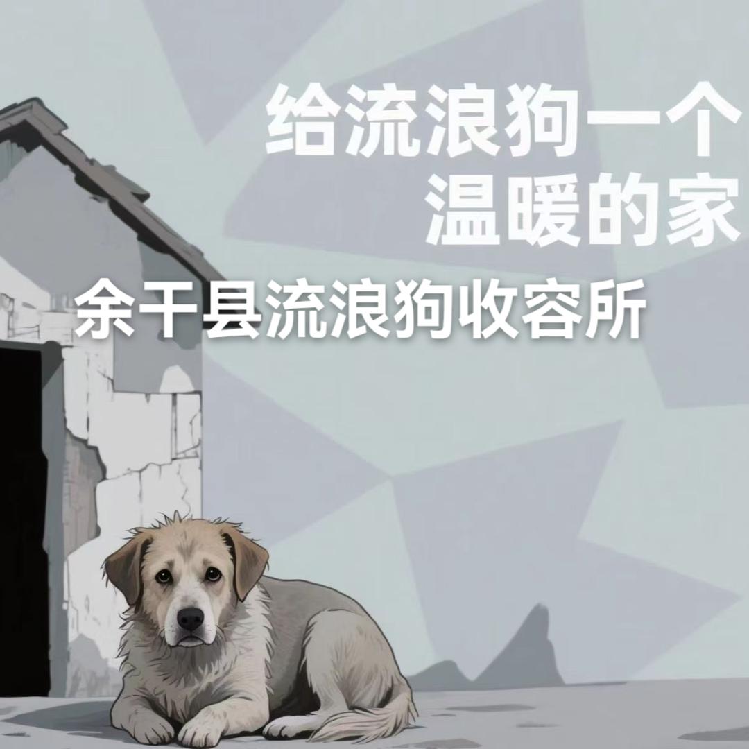 余干县流浪狗收容所
