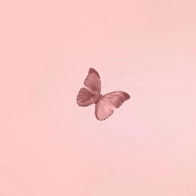 鹿鹿LL