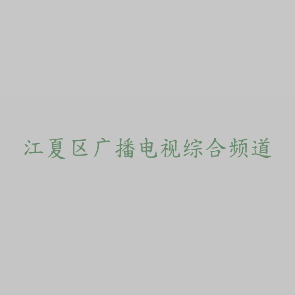 江夏区广播电视综合频道
