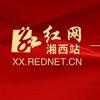 红网湘西站
