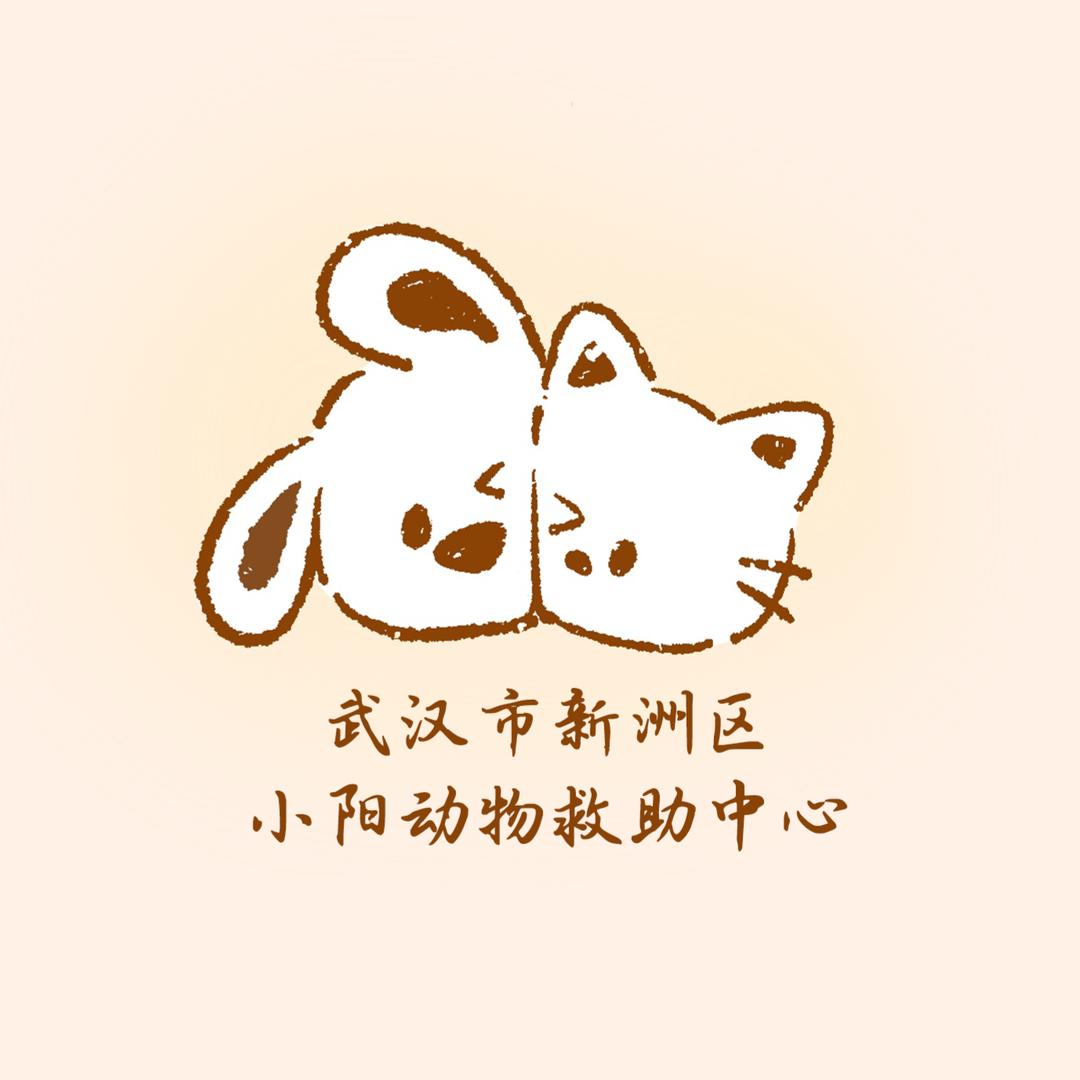 小阳动物救助中心