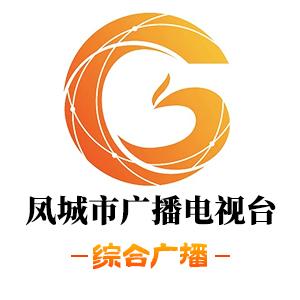 凤城市广播电视台综合广播
