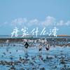 唐家什么湾