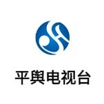 平舆电视台