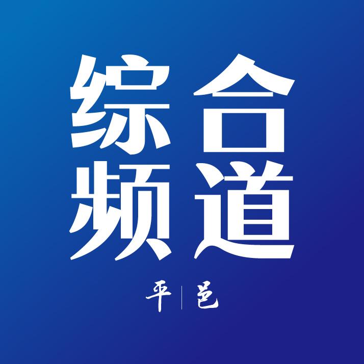 平邑广播电视台综合频道