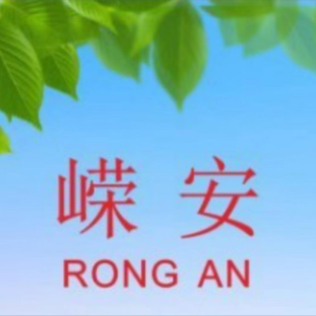 南宁市嵘安职业培训学校