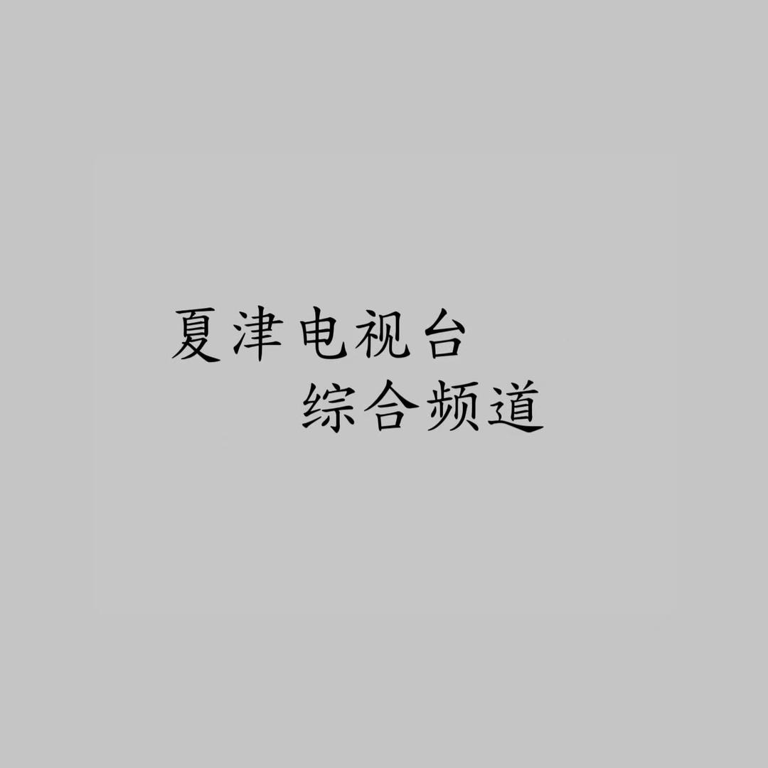 夏津电视台综合频道