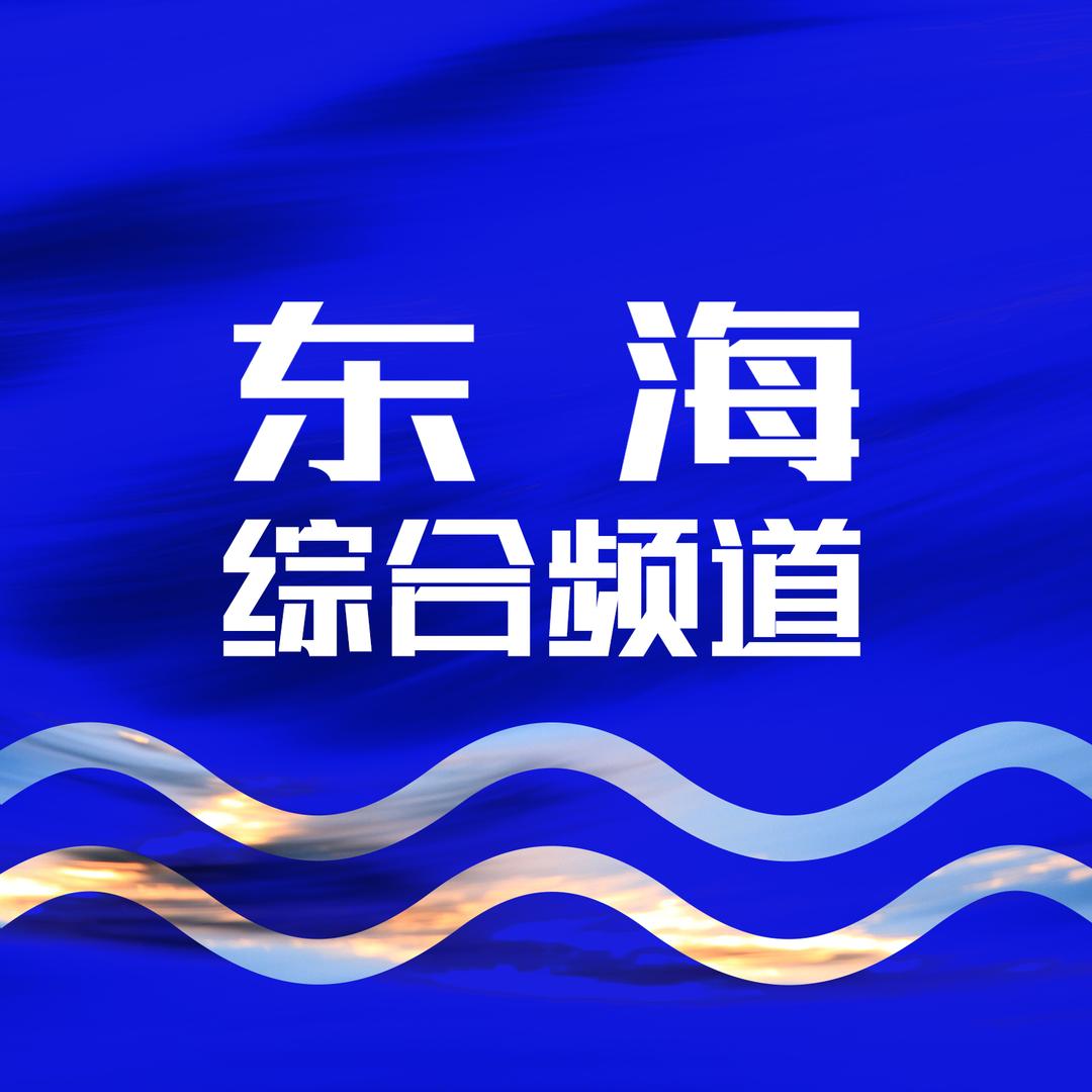 东海广播电视台综合频道