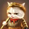 藏蓝猫猫