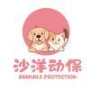 沙洋小动物保护协会