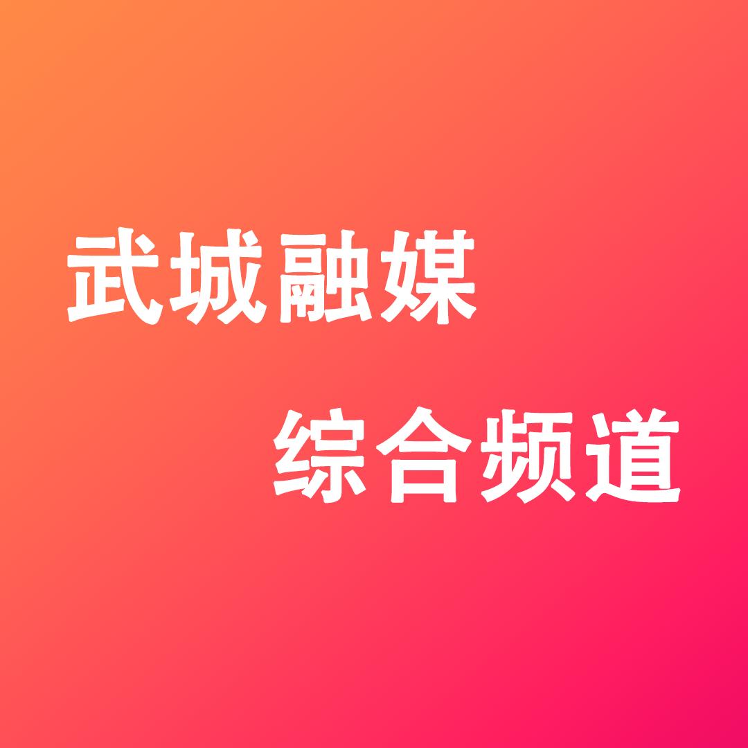 武城广电综合频道